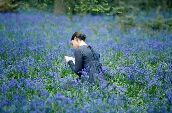 reading a letter in a field of violets